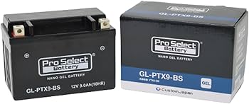 Amazon | ProSelect(プロセレクト) バイク GL-PTX9-BS ナノ